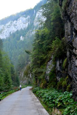  Apuseni Dağları, Transilvanya, Romence Occidentali olarak da bilinir Western Romen Karpatlar ait peyzaj. Yaklaşık 400 mağaralar Apuseni dağlar var
