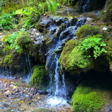  Apuseni Dağları, Transilvanya, Romence Occidentali olarak da bilinir Western Romen Karpatlar ait peyzaj. Yaklaşık 400 mağaralar Apuseni dağlar var