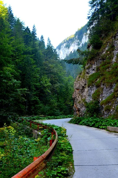 Paesaggio Nelle Montagne Apuseni Transilvania Che Appartiene Carpazi Rumeni Occidentali — Foto Stock