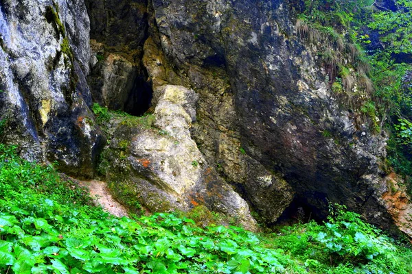 Paisaje Las Montañas Apuseni Transilvania Que Pertenece Los Cárpatos Rumanos —  Fotos de Stock