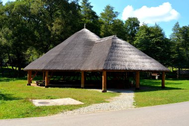 Dumbrava Sibiului 'deki Köylü Müzesi, Transilvanya, Romanya