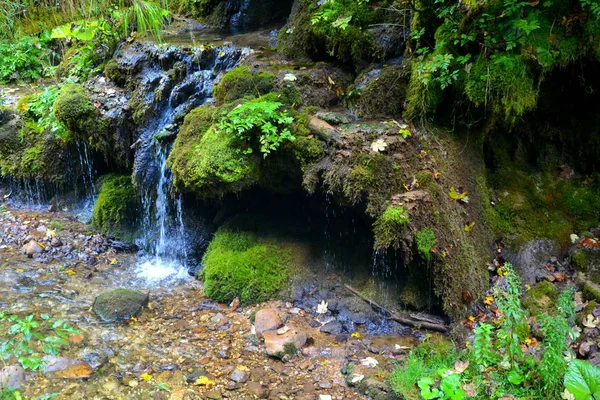 Paesaggio nelle montagne Apuseni, Transilvania, Romania — Foto Stock