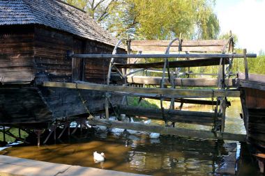 Dumbrava Sibiului, Transilvanya 'daki Köylü Müzesi