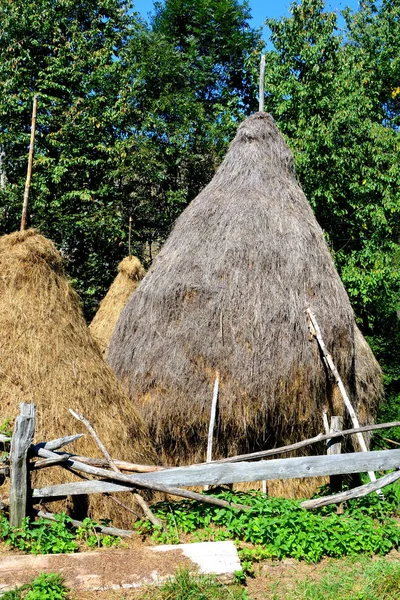 干草 堆。阿普塞尼山脉的风景, 特兰西瓦尼亚 — 图库照片