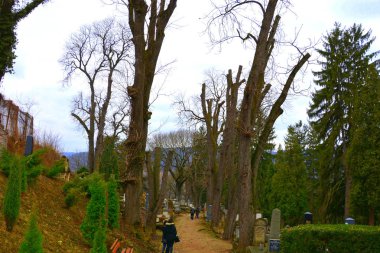 Mezarlık. Eski ortaçağ Sakson lutheran Kilisesi Sighisoara, Transilvanya, Romanya