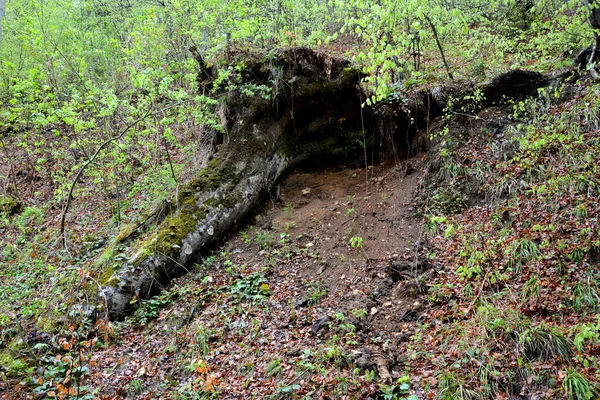 Τοπίο στην Poiana Brasov, Τρανσυλβανία — Φωτογραφία Αρχείου