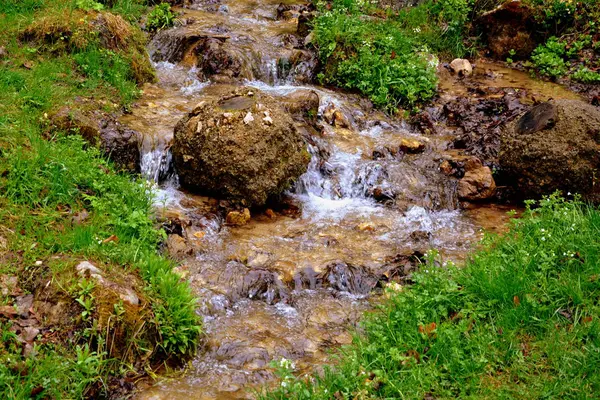 Bourne 'a. Krajobraz w Poiana Brasov, Transylwania — Zdjęcie stockowe