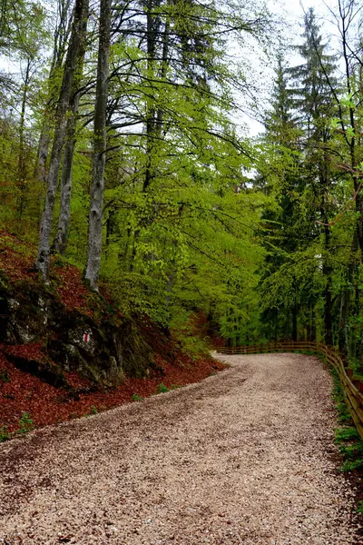 Krajobraz w Poiana Brasov, Transylwania — Zdjęcie stockowe