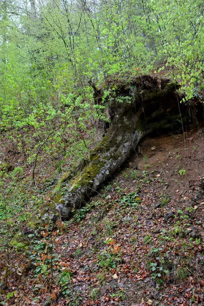 Landscape in Poiana Brasov, Transylvania — Stock Photo, Image