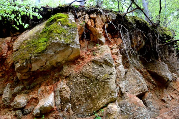 Τοπίο στην Poiana Brasov, Τρανσυλβανία — Φωτογραφία Αρχείου