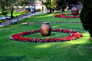 Güneşli bir gün Bahçe en güzel çiçekler. Yeşil manzara. 