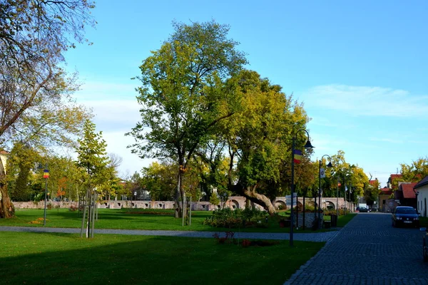 Park miejski. Typowy krajobraz miejski w rumuńskiego miasta Târgu Mureş, Transylwania, Rumunia — Zdjęcie stockowe