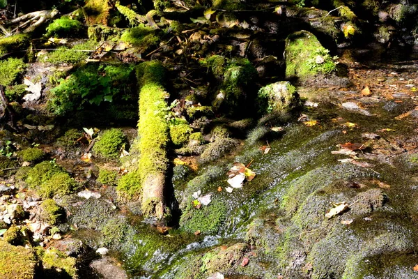 Landschaft im Apuseni-Gebirge, Siebenbürgen — Stockfoto