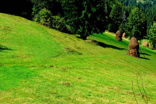 Landschaft im Apuseni-Gebirge, Siebenbürgen — Stockfoto