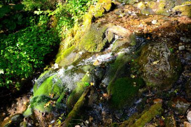 Manzara Apuseni Dağları, Transilvanya