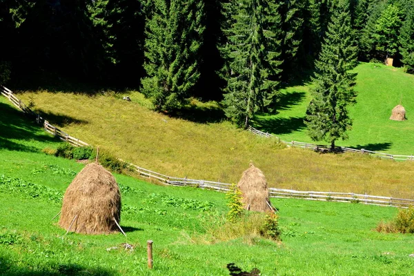 Landskap i Apuseni bergen, Transsylvanien — Stockfoto