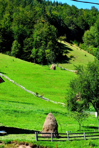 Paisaje en las montañas de Apuseni, Transilvania —  Fotos de Stock