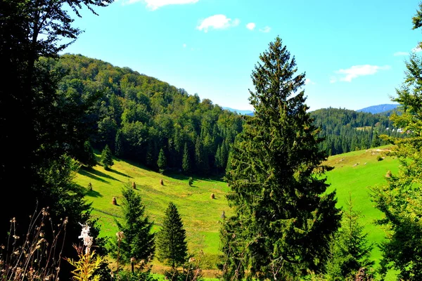 Paysage dans les montagnes d'Apuseni, Transylvanie — Photo