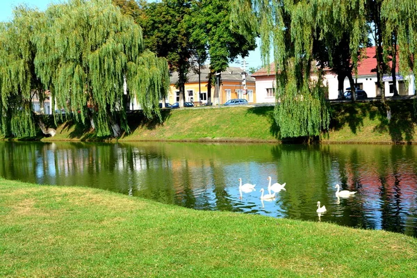 Channel of the medieval fortress Fagaras — Stok Foto