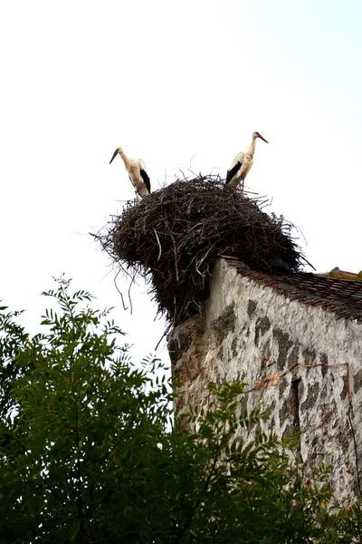 Mittelalterliche befestigte Kirche christlich, Siebenbürgen — Stockfoto