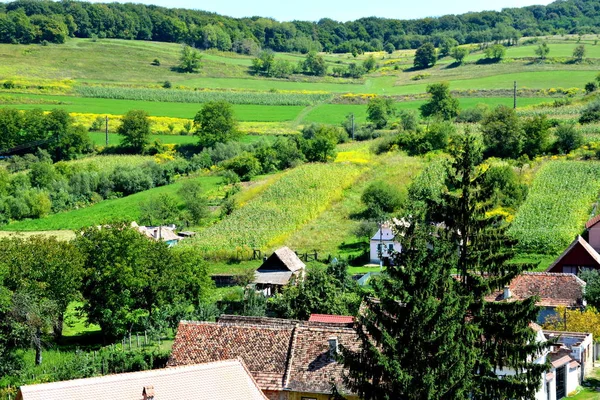 Casas típicas en la aldea de Saxon Biertan, Transilvania, Rumania — Foto de Stock