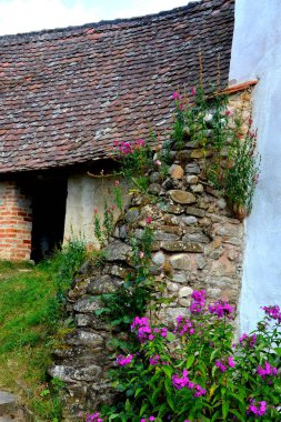 Romanya 'nın Transilvanya kentindeki Toarcla, Tartlau, Transilvanya köyündeki tipik kırsal alan ve köylü evleri. Yerleşim yeri Sakson koloniciler tarafından 12. yüzyılın ortalarında kuruldu.