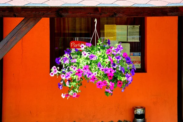 전형적인 농부 집, 마당, 정원 및 Sacele 마에서 꽃 — 스톡 사진
