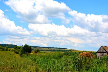 Transilvanya, Romanya ovalarında tipik kırsal manzara