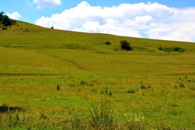 Transilvanya, Romanya ovalarında tipik kırsal manzara