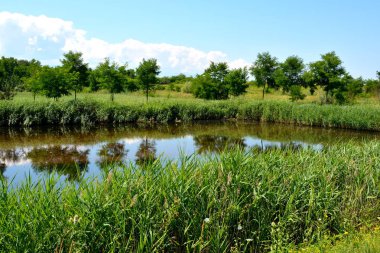 Transilvanya ova göle.