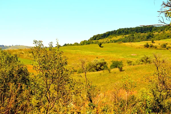 Paisaje rural típico en las llanuras de Transilvania, Rumania —  Fotos de Stock