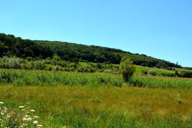 Transilvanya, Romanya ovalarında tipik kırsal manzara