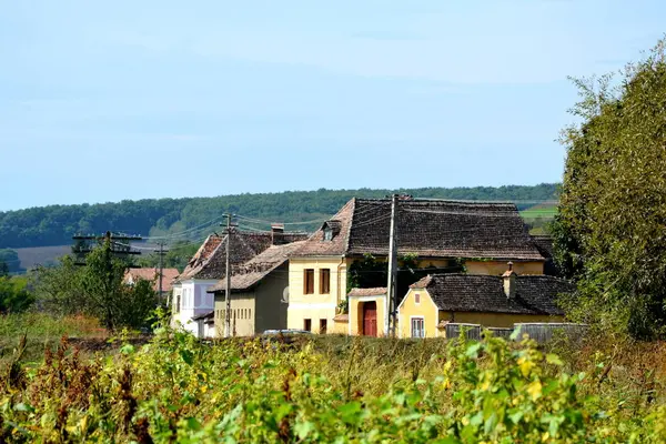 Paisaje rural típico y casas campesinas en Bradeni, Henndorf, Hegendorf, Transilvania —  Fotos de Stock