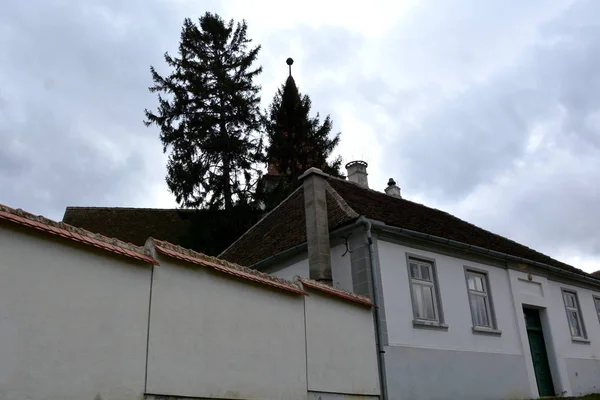 Типичный Сельский Пейзаж Крестьянские Дома Ресиу Трансильвания Румыния Поселение Основано — стоковое фото