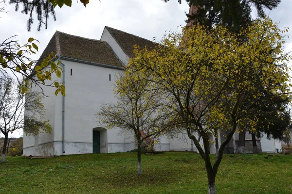 Paysage Rural Typique Maisons Campagne Reciu Transylvanie Roumanie Colonie Été — Photo