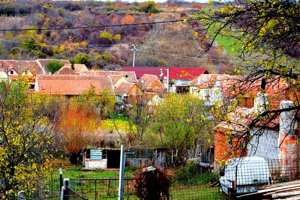 Paysage Rural Typique Maisons Campagne Reciu Transylvanie Roumanie Colonie Été — Photo