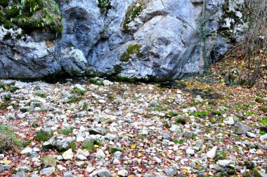 Banat, Transilvanya 'da Bigar Şelalesi. Romanya 'nın Transilvanya ovalarındaki tipik kırsal alan. Sonbaharda yeşil manzara, güneşli bir günde