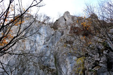 Banat, Transilvanya 'da Bigar Şelalesi. Romanya 'nın Transilvanya ovalarındaki tipik kırsal alan. Sonbaharda yeşil manzara, güneşli bir günde