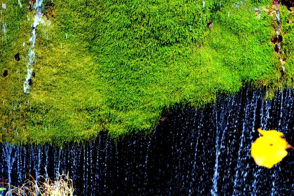 Wodospad Bigar Banacie Transylwanii Typowy Krajobraz Wiejski Równinach Siedmiogrodu Rumunia — Zdjęcie stockowe