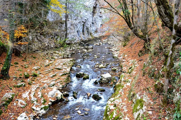 Bigar Vattenfall Banat Transsylvanien Typiskt Landsbygdslandskap Slätterna Transsylvanien Rumänien Grönt — Stockfoto