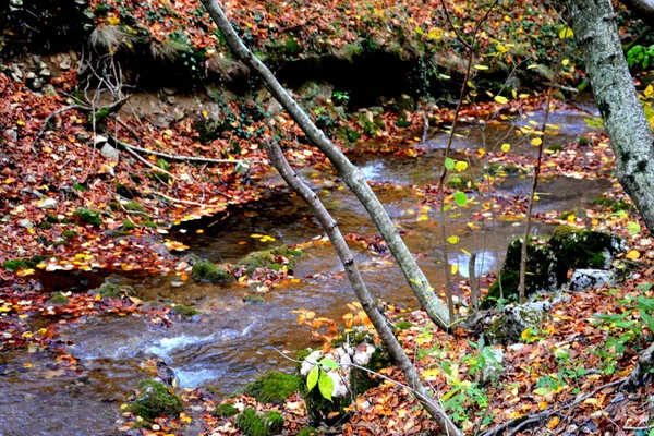 Bigar Wasserfall Banat Transsilvanien Typische Ländliche Landschaft Der Ebene Von — Stockfoto