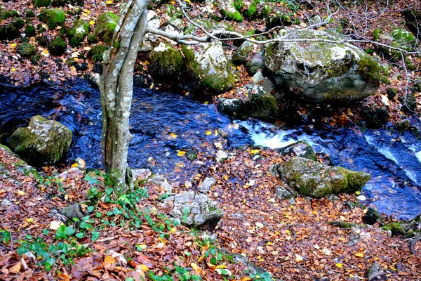 Cascada Bigar Banat Transilvania Paisaje Rural Típico Las Llanuras Transilvania —  Fotos de Stock