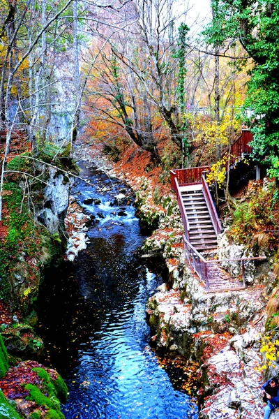 Grande Cascata Banat Transilvania Tipico Paesaggio Rurale Nelle Pianure Della — Foto Stock