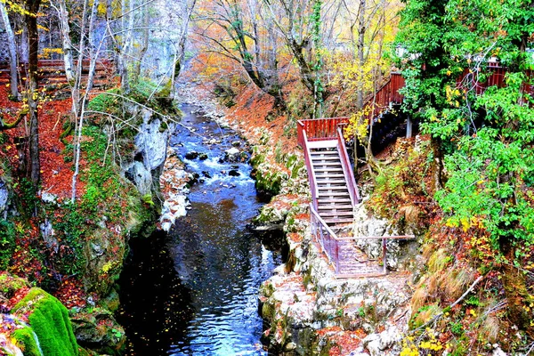 Velký Vodopád Banatu Transylvánii Typická Venkovská Krajina Rovinách Transylvánie Rumunsko — Stock fotografie