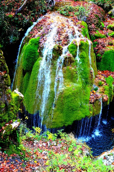 Великий Водоспад Банаті Трансільванія Типовий Сільський Ландшафт Рівнинах Трансільванії Румунія — стокове фото