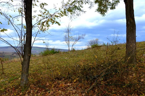 Typische Landelijke Landschap Boerenhuizen Garbova Transsylvanië Roemenië Nederzetting Werd Het — Stockfoto