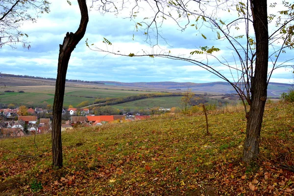 Tipico Paesaggio Rurale Case Contadine Garbova Transilvania Romania Insediamento Fondato — Foto Stock