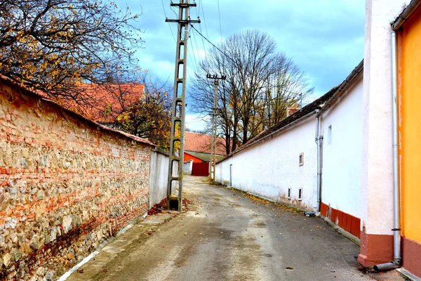 Paysage Rural Typique Maisons Campagne Garbova Transylvanie Roumanie Colonie Été — Photo