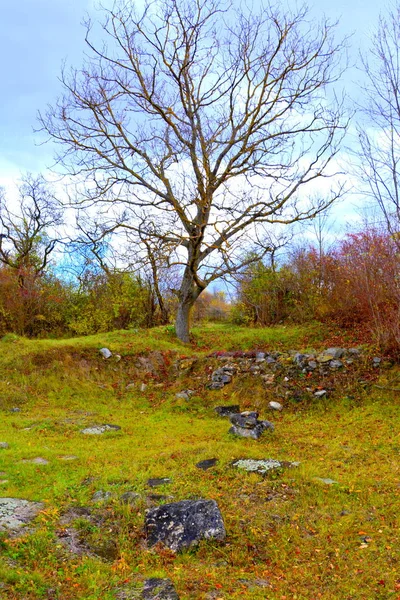 2千年前にルーマニアのサルミゼゲトゥサ地方の古いローマの要塞の遺跡 — ストック写真