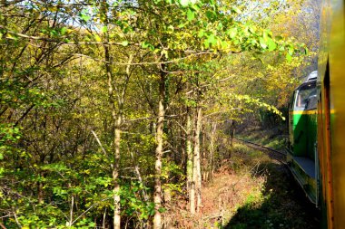 Sonbaharda Transilvanya ormanlarındaki tipik manzara. Romanya 'nın Banat kentinde Oravita ile Anina arasındaki demiryolu.